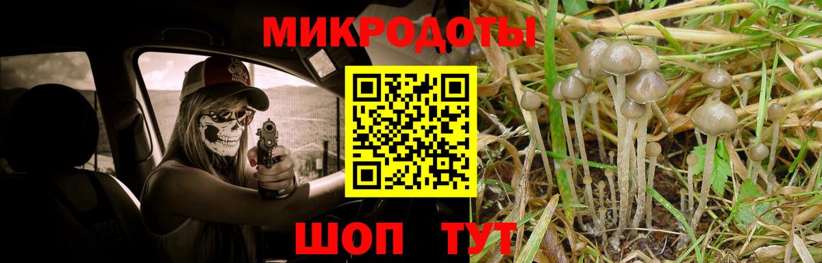 Псилоцибиновые грибы мицелий Советский